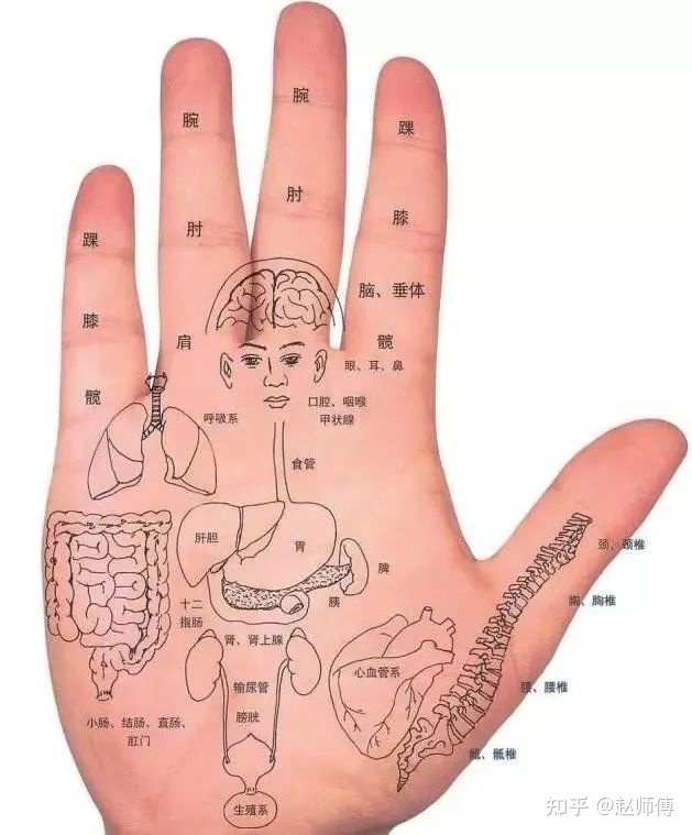 手相图解大全，零基础读三遍就会了...
