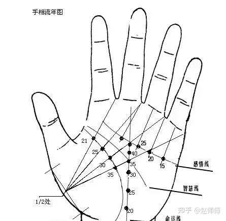 手相图解大全，零基础读三遍就会了...