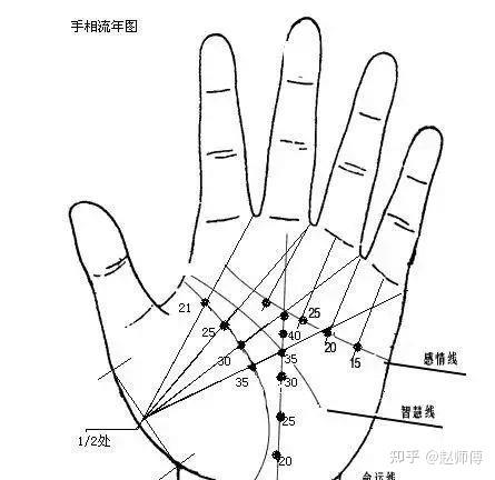 手相图解大全，零基础读三遍就会了...