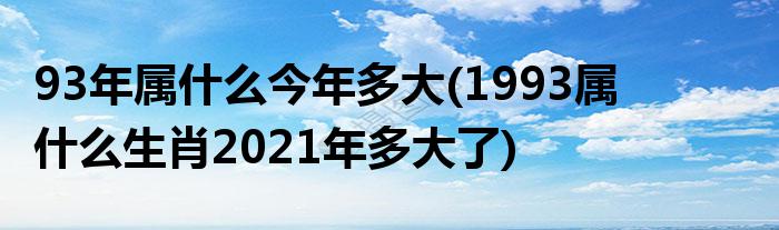3年属什么今年多大(1993属什么生肖2021年多大了)"